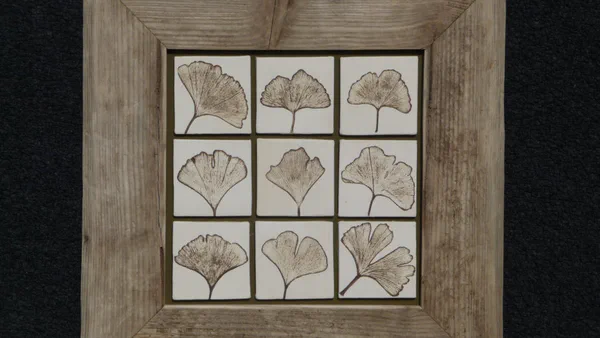 Neuner Ginkgo (Blätter)
