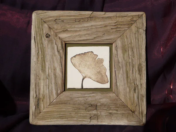 Ginkgo 1 (Blätter)