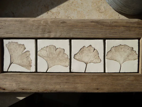 Ginkgo 2 (Blätter)