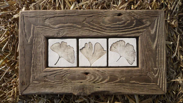 Ginkgo 3 (Blätter)
