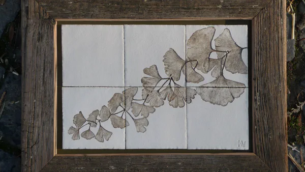 Ginkgo 5 (Blätter)