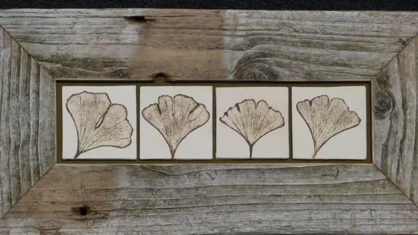 Ginkgo 8 (Blätter)