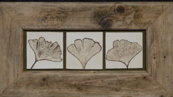 Ginkgo 9 (Blätter)