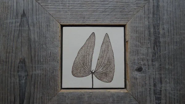 Mopane 1 (Blätter)