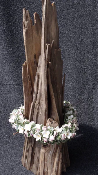 Aloha 1 (Blumen)