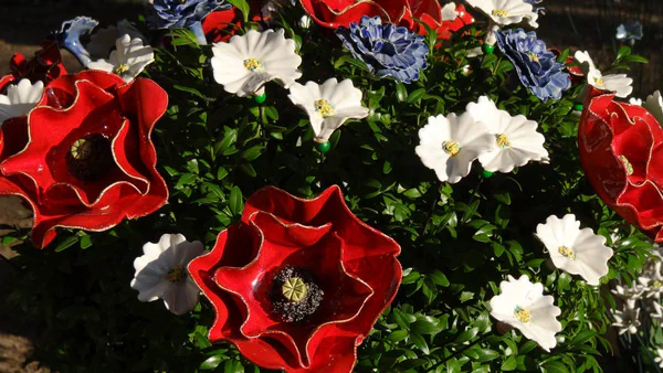 Klatschmohn (Blumen)