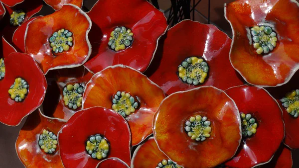 Tellerblumen (Blumen)