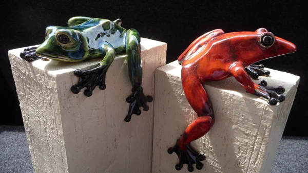 Frosch grün rot (Frosch & Gecko)