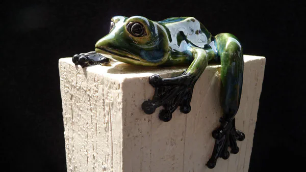 Frosch grün (Frosch & Gecko)