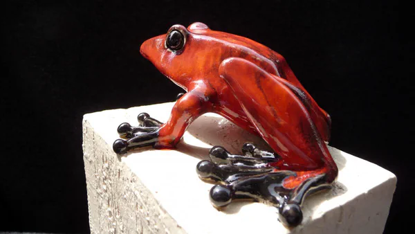 Frosch rot (Frosch & Gecko)