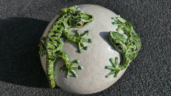 Gecko 4 (Frosch & Gecko)