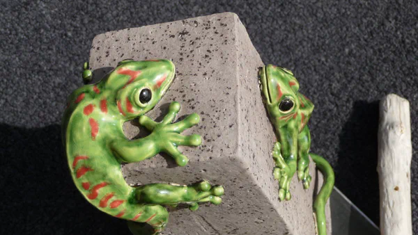 Gekko 2 (Frosch & Gecko)