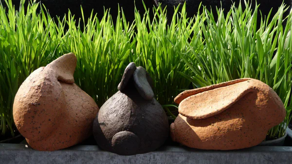 Hasen 2 (Garten)