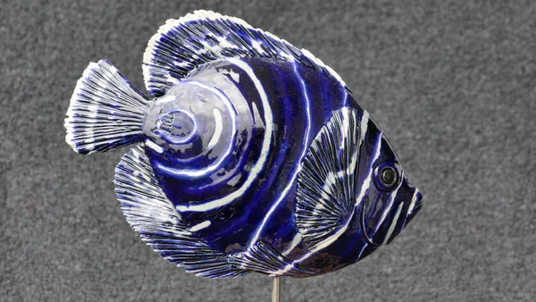 Kaiserfisch Jung (Korallenfische)