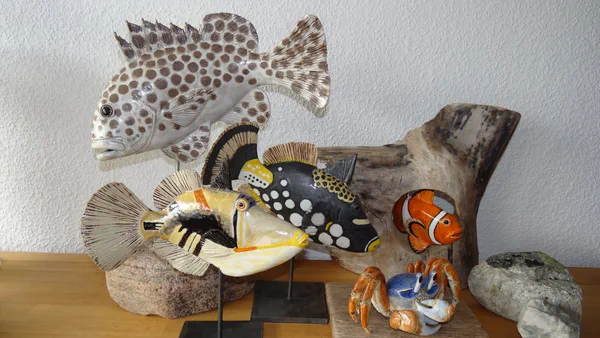 Korallenfische (Korallenfische)