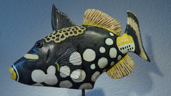 Leoparddrücker 1 (Korallenfische)