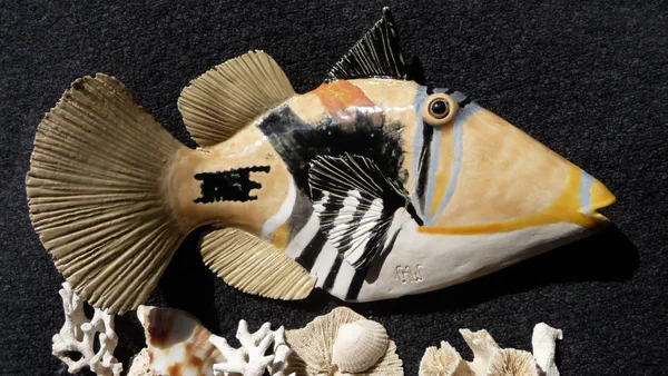 Picassodrücker 1 (Korallenfische)