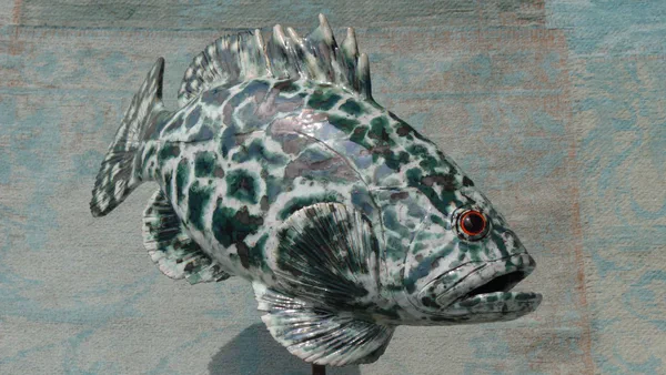 Zackenbarsch grün 1 (Korallenfische)