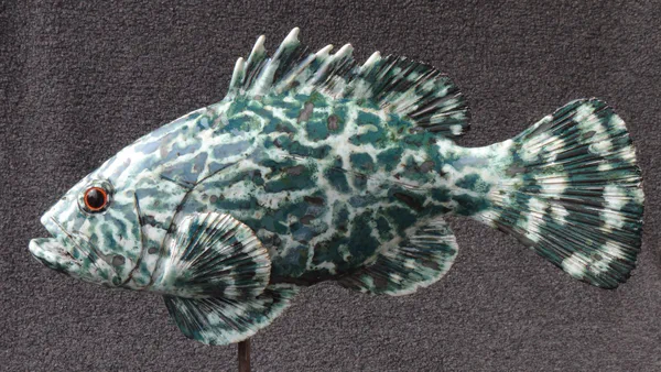 Zackenbarsch grün 2 (Korallenfische)