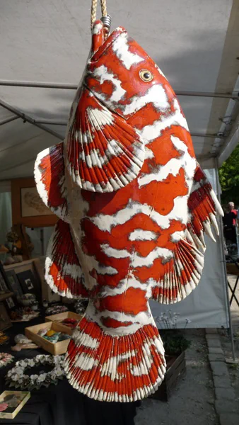 Zackenbarsch rot 3 (Korallenfische)