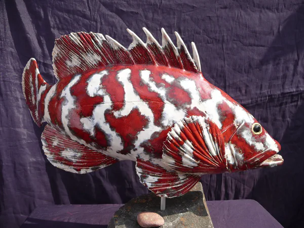 Zackenbarsch rot 4 (Korallenfische)