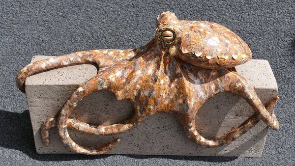 Krake 1 (Krabbe, Krake & Seeigel)