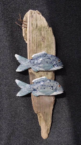 Dorade 1 (Salzwasserfische)