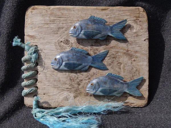 Dorade 2 (Salzwasserfische)