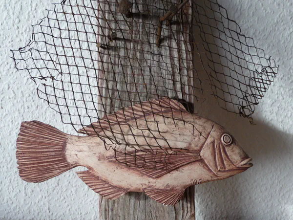 Dorade (Salzwasserfische)