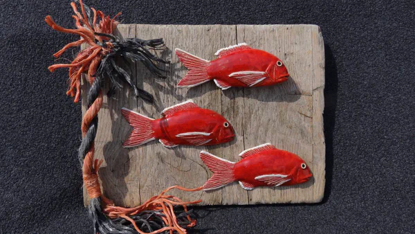 Dorade rot (Salzwasserfische)