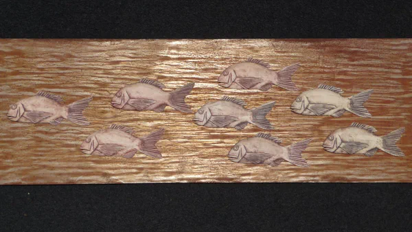 Dorade Schwarm 2 (Salzwasserfische)
