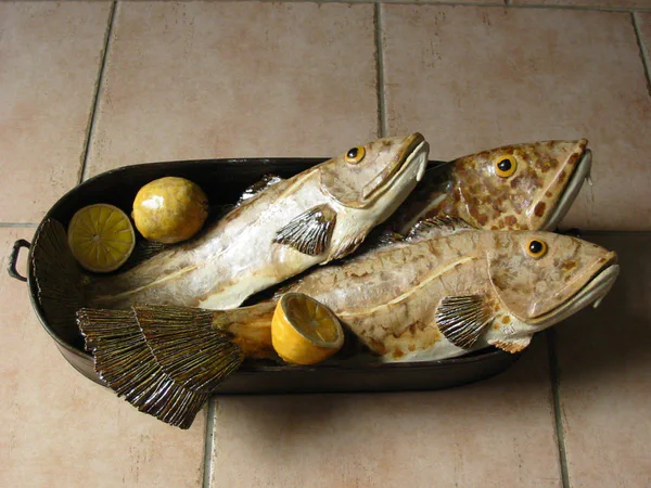 Dorsch 4 (Salzwasserfische)
