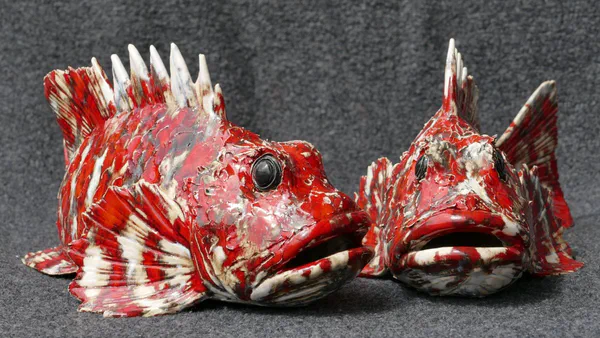 Drachenkopf 3 (Salzwasserfische)
