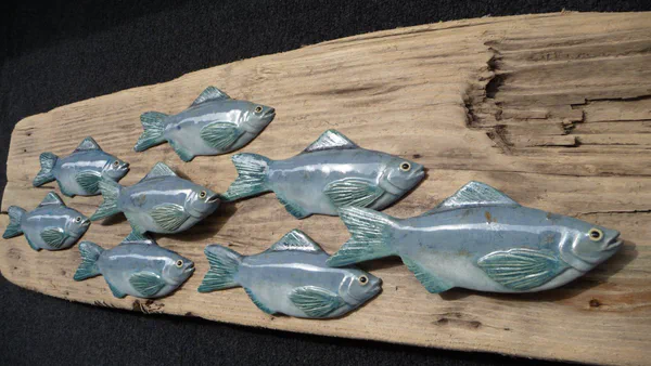 Hering 2 (Salzwasserfische)