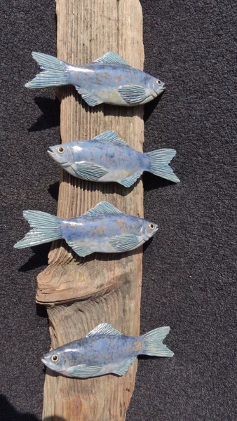 Hering (Salzwasserfische)