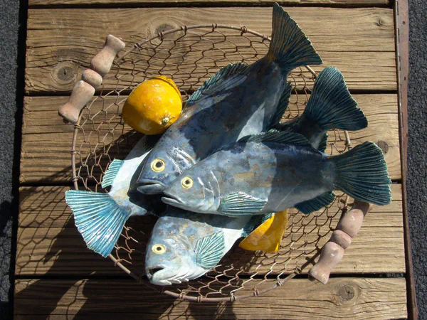 Heringskorb (Salzwasserfische)
