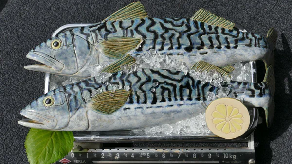 Makrele 4 (Salzwasserfische)