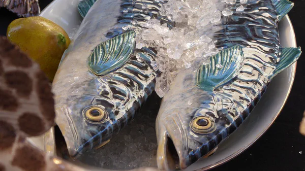 Makrele 5 (Salzwasserfische)