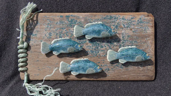 Barsch blau (Süßwasserfische)