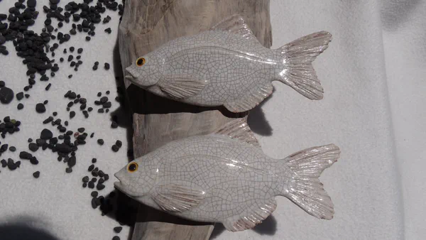Brachsen Craquelé (Süßwasserfische)