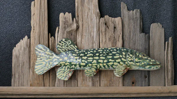 Hecht 4 (Süßwasserfische)
