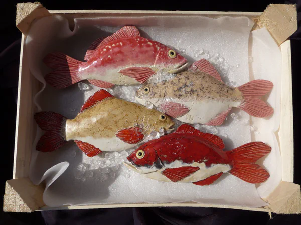Kiste (Süßwasserfische)