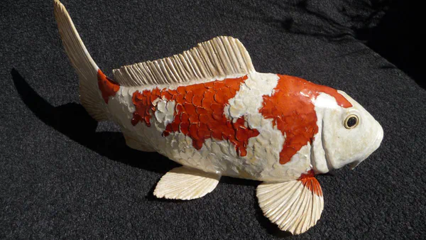 Koi 2 (Süßwasserfische)