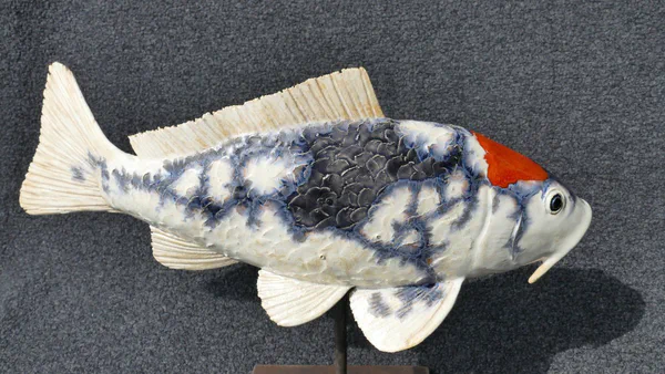 Koi 3 (Süßwasserfische)