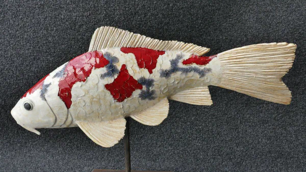 Koi 5 (Süßwasserfische)