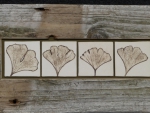 Ginkgo_08