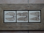 Mopane_03
