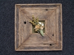 Bild_12