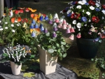 Blumen_01