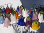Glockenblumen_02